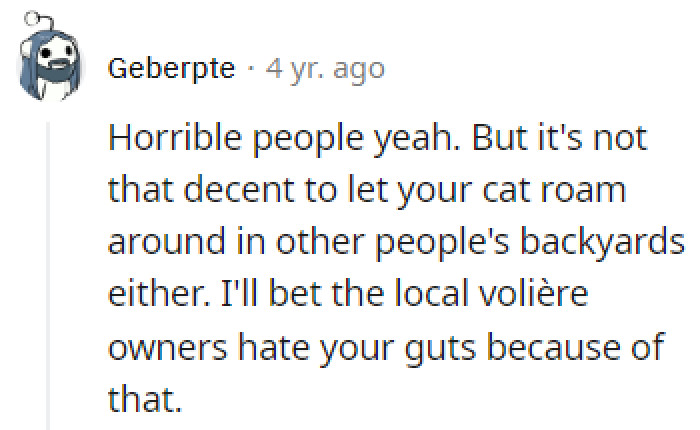 It's dangerous out there for cats