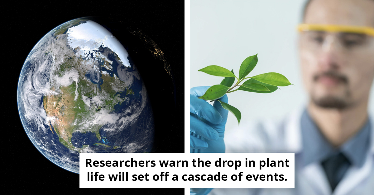 Scientists Warn Earth's Oxygen Supply Will Start Declining Much Sooner Than Expected