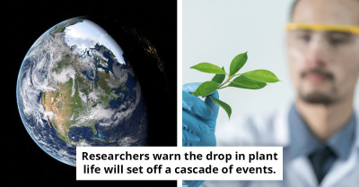 Scientists Warn Earth's Oxygen Supply Will Start Declining Much Sooner Than Expected