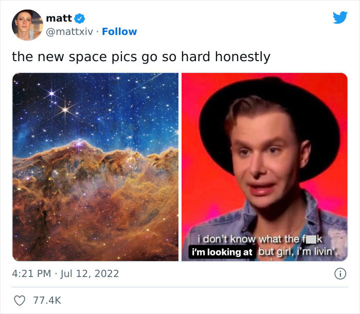 This meme is exactly how everyone felt when viewing the images.