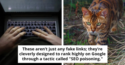 If You’ve Been Typing These Six Words Into Your Computer, You Could Be The Next Victim Of A Cyberattack