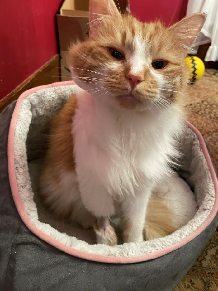 25. Floating in the clouds post-MRI, where the verdict on the brain cell remains a mystery, but the good news is, no villainous brain cells were spotted in the lineup.