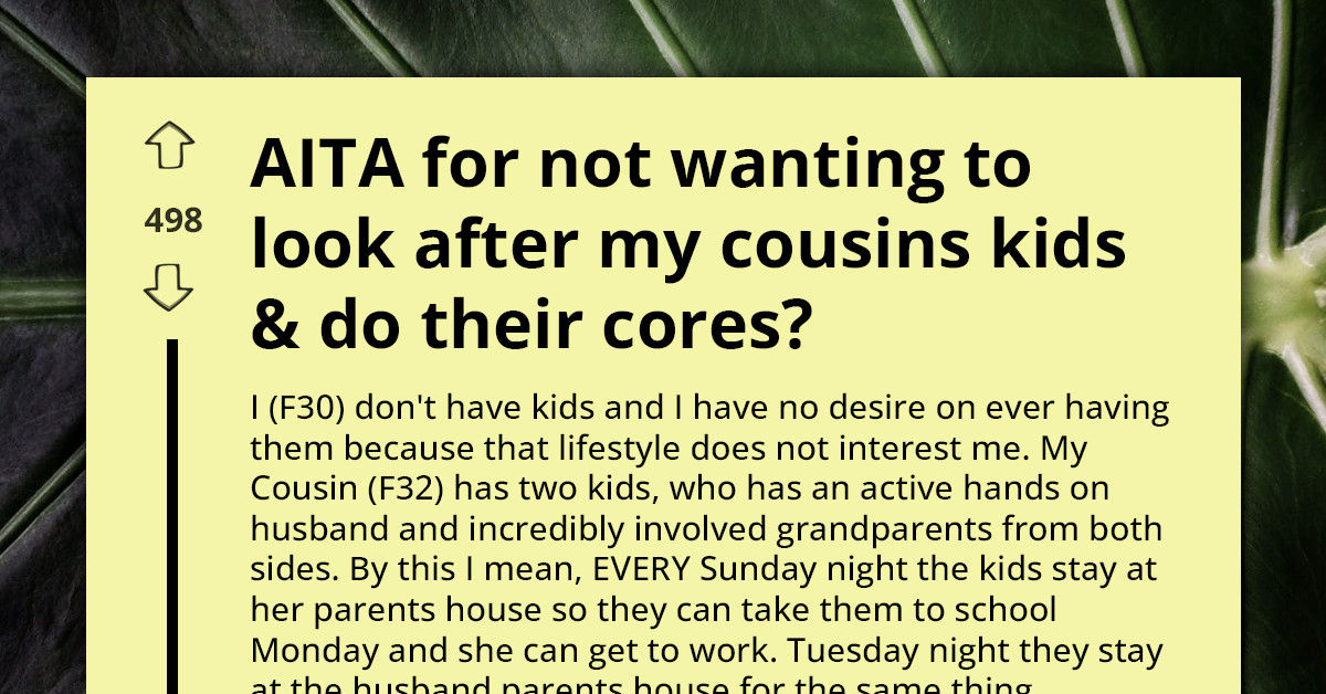 Child-Free Woman Refuses To Babysit At Family Dinner - Cousin Calls Her Selfish