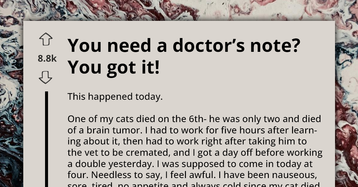 Manager’s Callous Request for ‘Doctor’s Note’ Backfires as Grieving Cat Parent Bags Two Extra Days Off Work