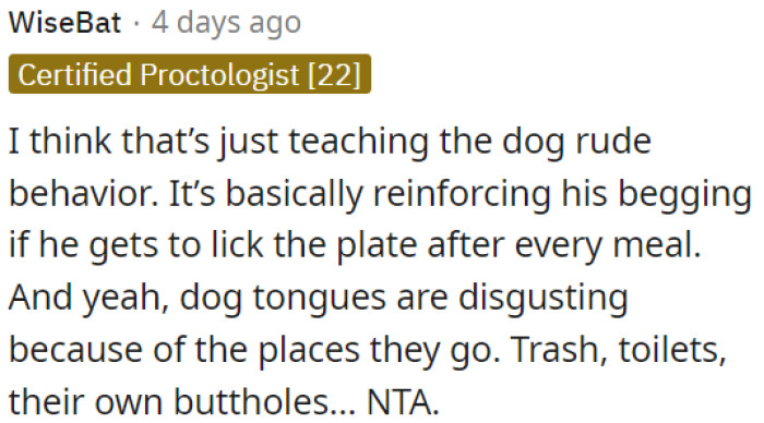 Letting a dog lick a plate after meals is rude behavior.