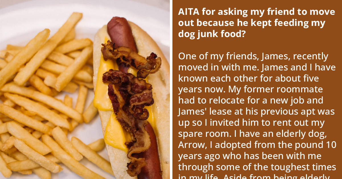 Redditor Kicks Out His Roommate For Giving His Elderly Dog Junk Food, Making His Medical Condition Worse