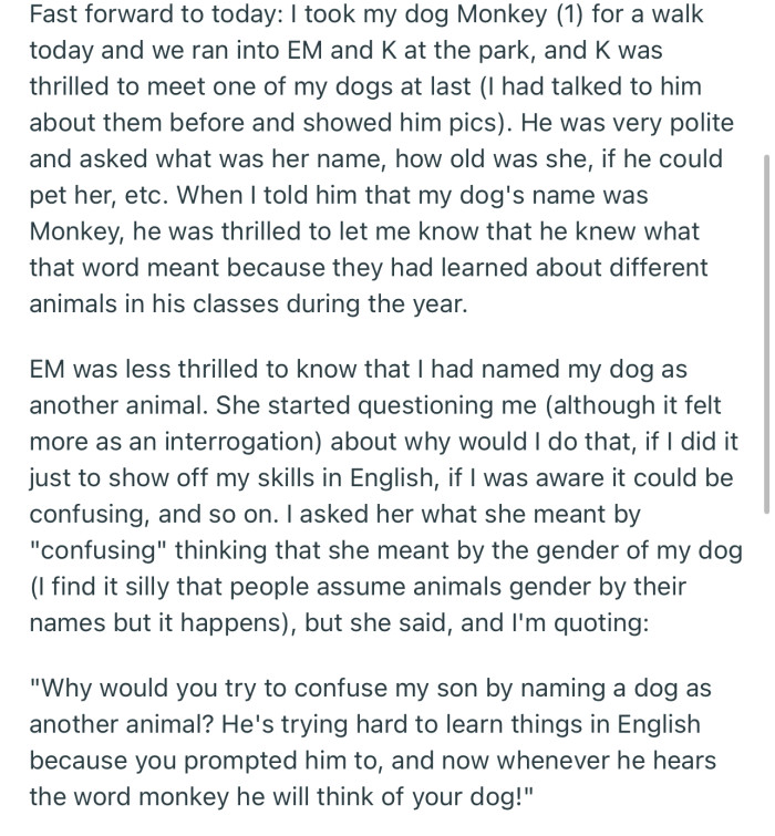 OP introduced their dog to the little boy as “Monkey,” but the mom was not happy about this because she feels it will confuse her son