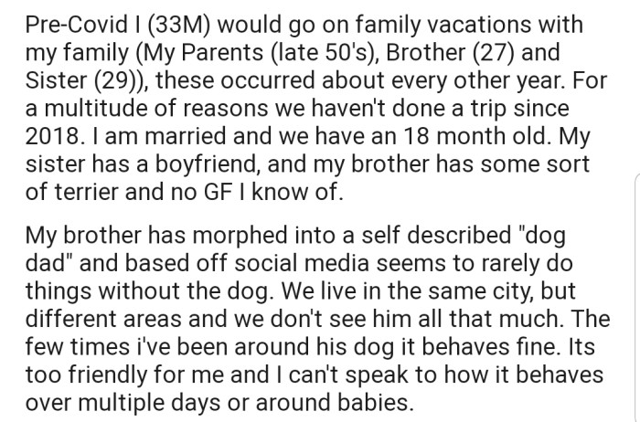 OP explained that his brother has become so attached to his dogs that he rarely does anything without them.