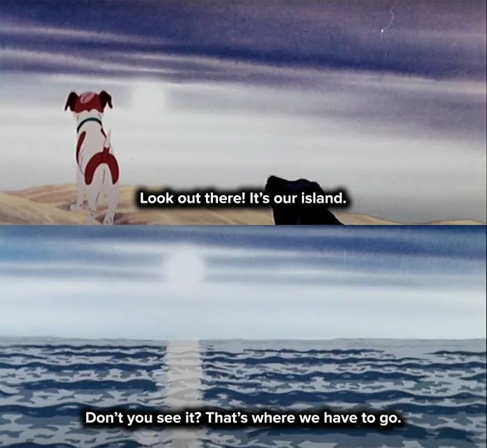6. When the dogs keep trying to swim toward the island they believe is their salvation, which probably doesn't exist, in The Plague Dogs