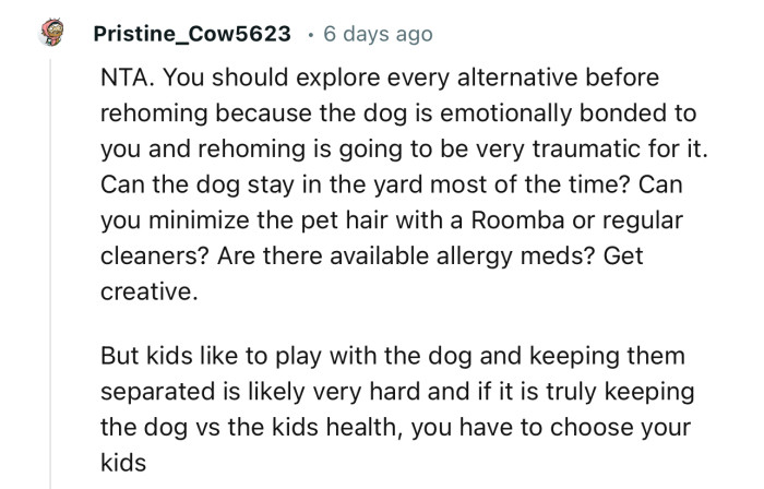 “You should explore every alternative before rehoming because the dog is emotionally bonded to you.”
