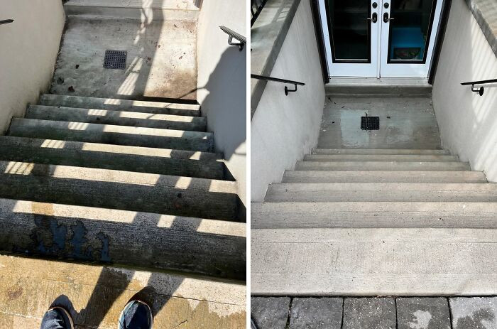 "Just Moved In, I Don't Know How The Previous Tenants Could Live Like This"