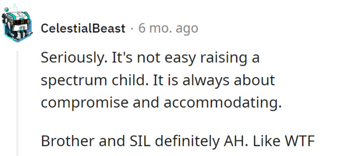 Raising a spectrum champ is a daily compromise Olympics. Brother and sister-in-law are pulling a gold medal in the AH category.