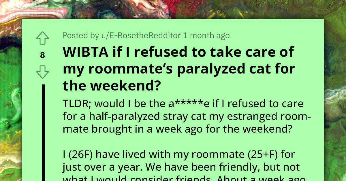 Redditor Asks If They Are In The Wrong For Not Wanting To Tend To Roommate's Paralyzed Cat Over Weekend