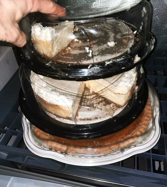 16. What sort of creature do I collaborate with, who takes only a solitary piece of cheesecake and then starts cutting into a fresh one?