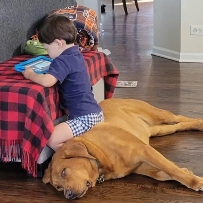 10. “This seat will do nicely for my diaper b*tt!”