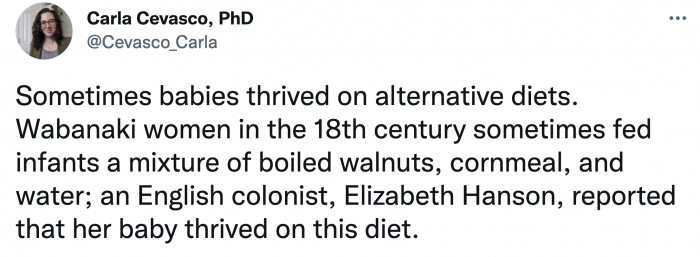 The Wabanaki women fed their babies a mixture of boiled walnuts, cornmeal, and water.