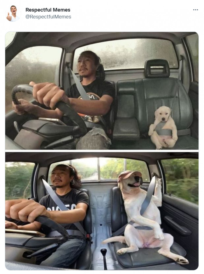 38. On a Looooong Drive