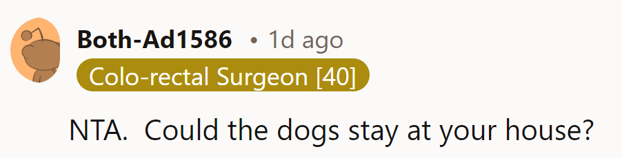 NTA. Why fetch trouble? Bring the dogs home for a howling good time!