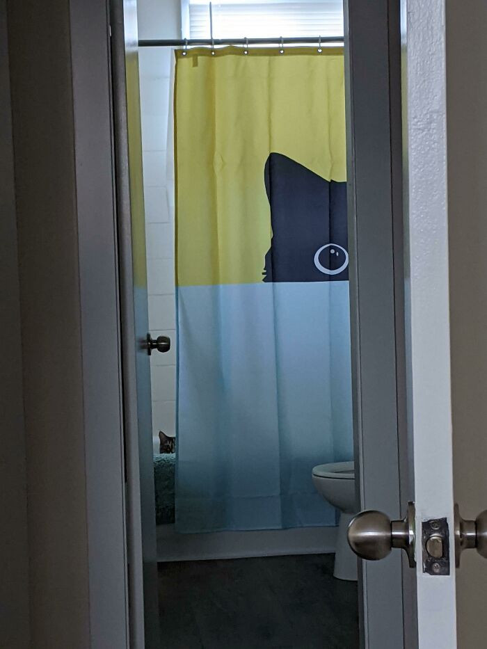 "I Looked Over, And My Cat Was Doing The Same Thing As The Curtain."