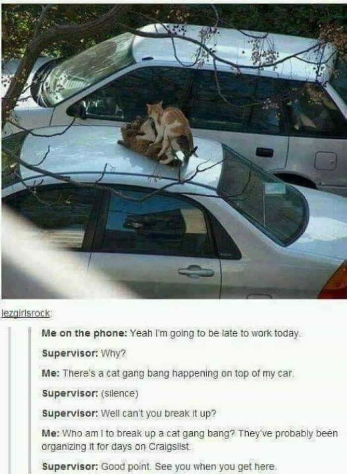 23. Poor lady kitty.