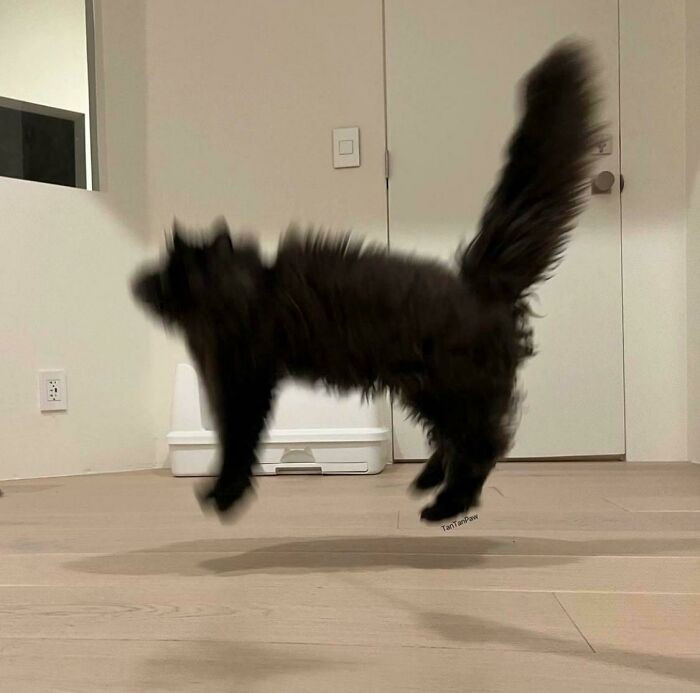 3. Someone Was Playing Around with the Electricity