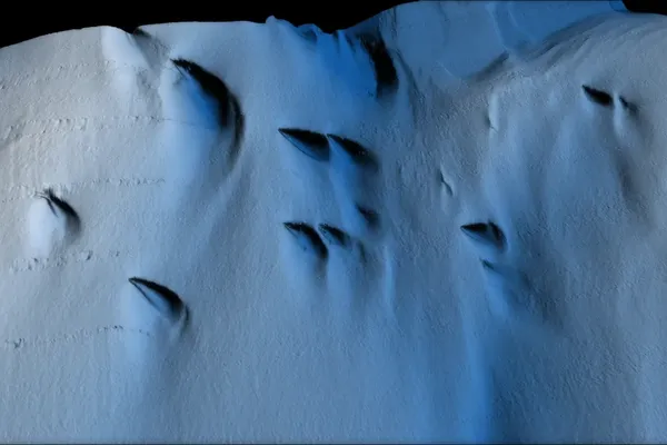 Researchers discovered ice formations that resemble dunes.