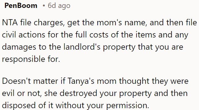 OP should file charges and civil actions to recover the costs and damages caused by Tanya's mom.