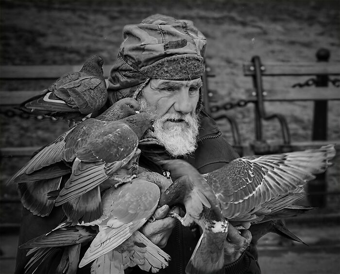 9. Pigeon Man
