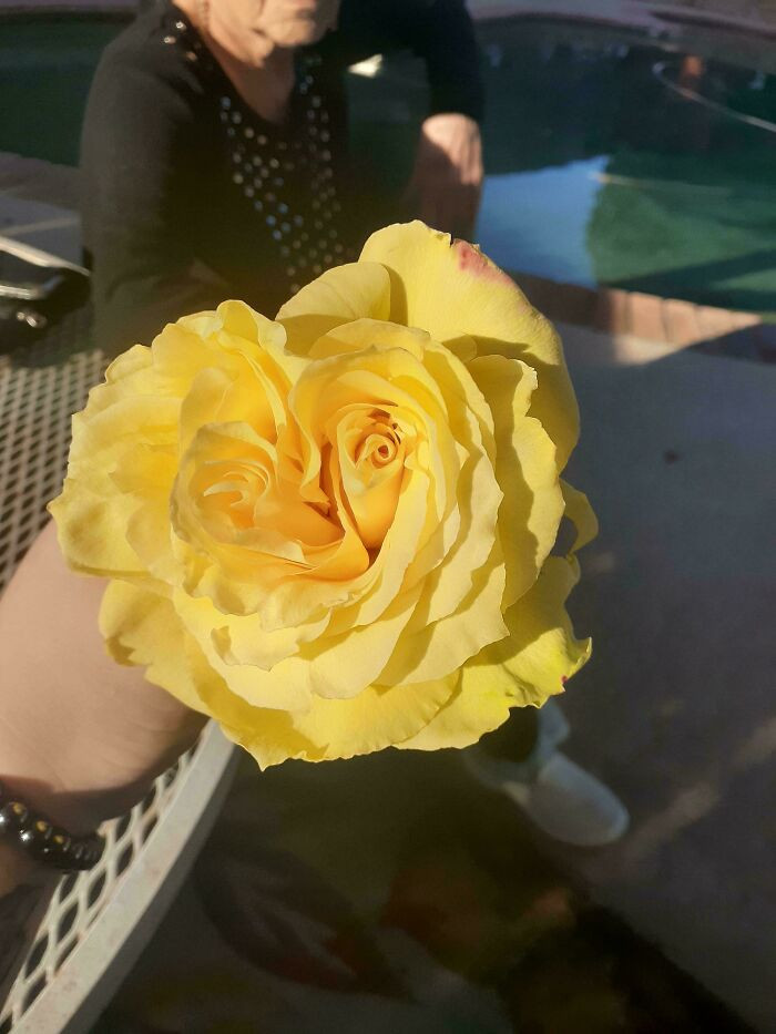 "We Found A Rose With 2 Centers! Neither My Grandmother Nor I Have Ever Seen One Before"