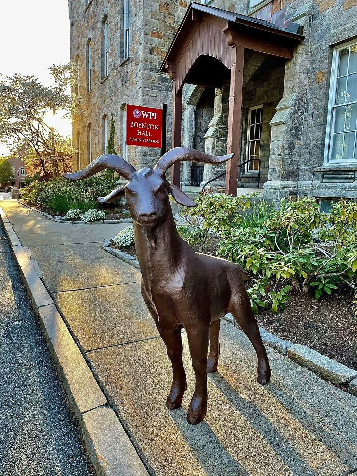 "Full-Scale 3D Printed And Finished School Mascot"