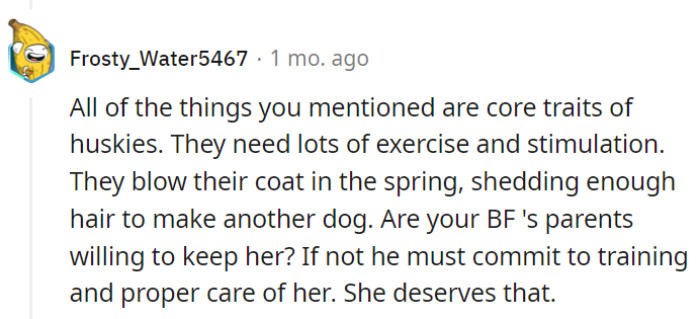 Huskies: the gym rats of the dog world.
