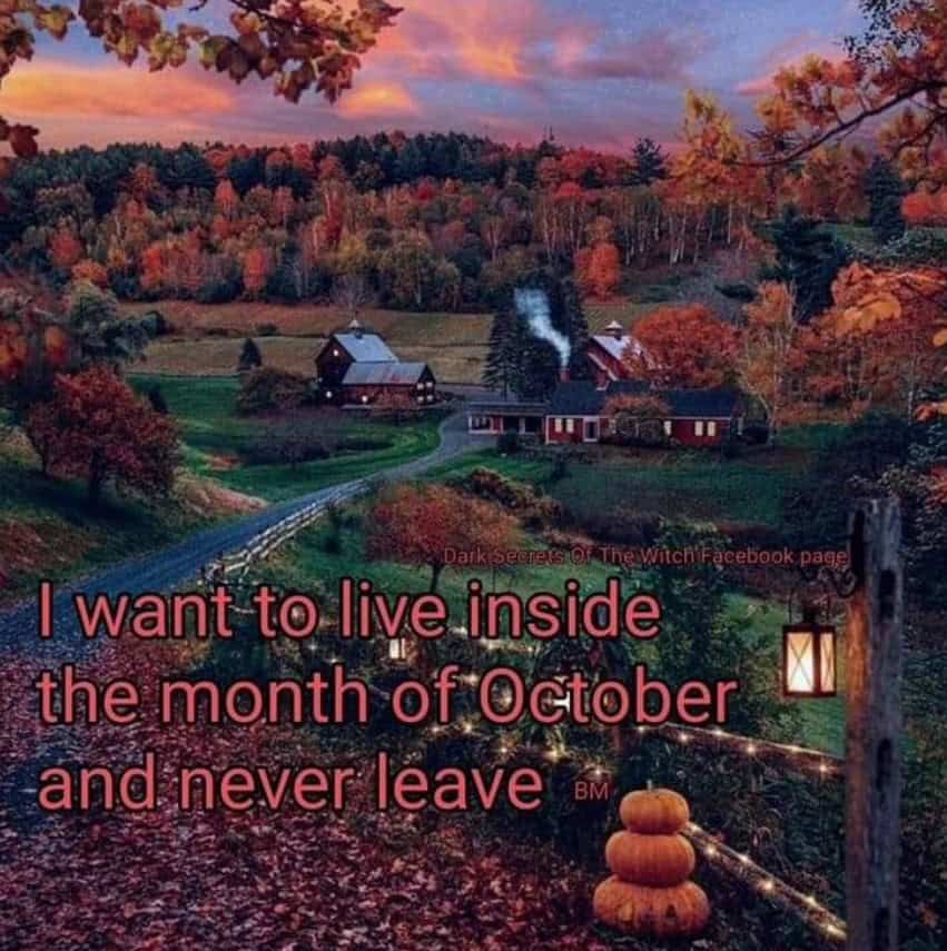 7. When you never want to leave October