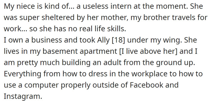 The OP explained they started mentoring their niece, Ally: