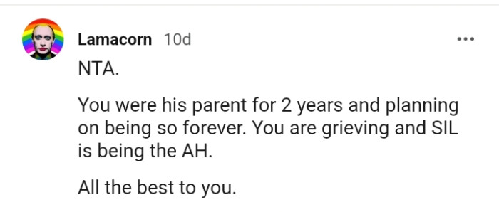 You are grieving, and SIL is being the AH