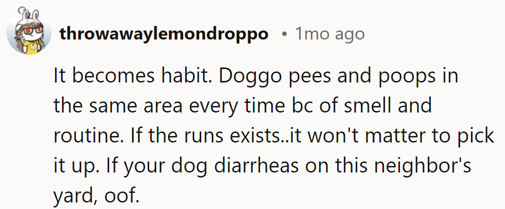 Doggo's got routines, but beware the explosive surprises! Respect the neighbor's yard—no oofs allowed!