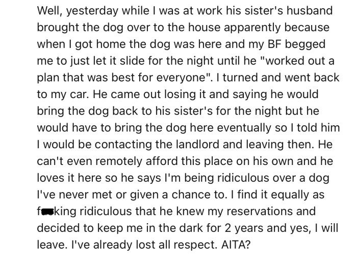 OP’s boyfriend thinks they are overreacting and should give the dog a chance