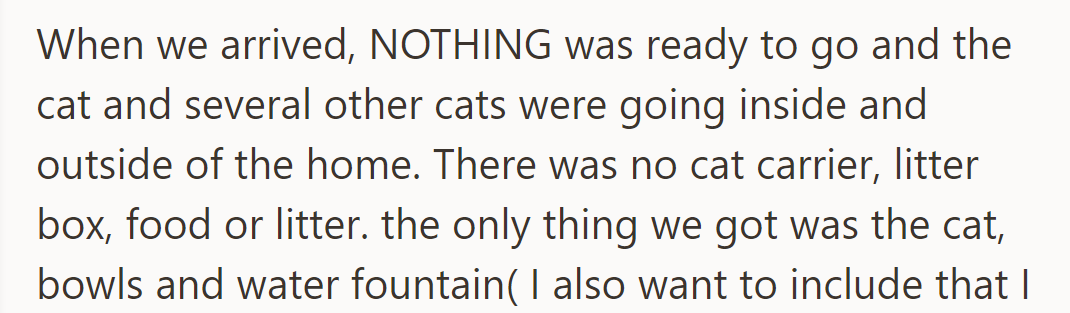 Upon arrival, nothing was ready. Only the cat, bowls, and a water fountain were provided.