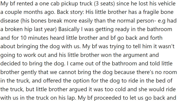 OP suggested the dog could ride in the bed of the truck, but the little brother refused, stating it was too cold.