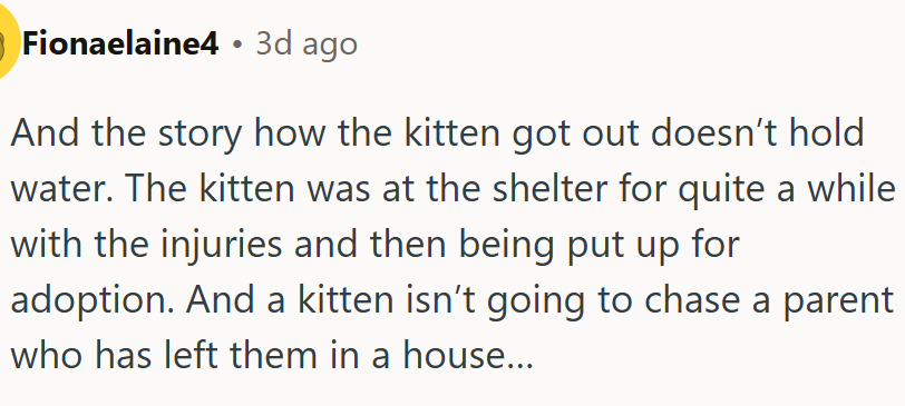 The story of how the kitten got out doesn’t hold water.