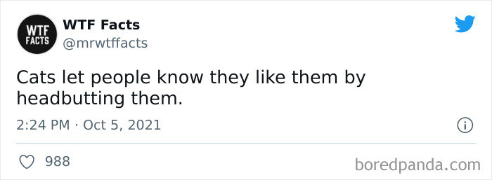 29. Way to go, kitty