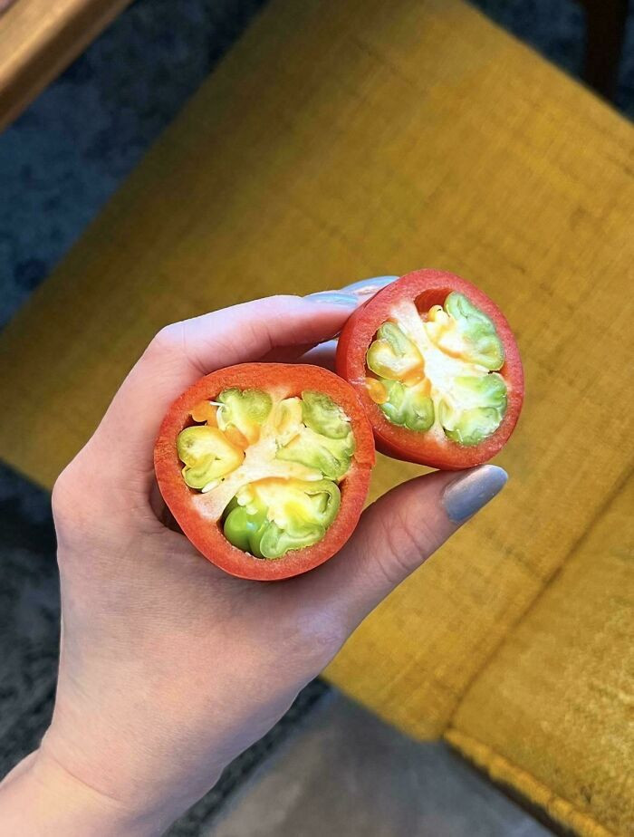 "The Squeal I Squempt!!! Pre-Stuffed Pepper!! Pre-Stuffed Pepper!!"