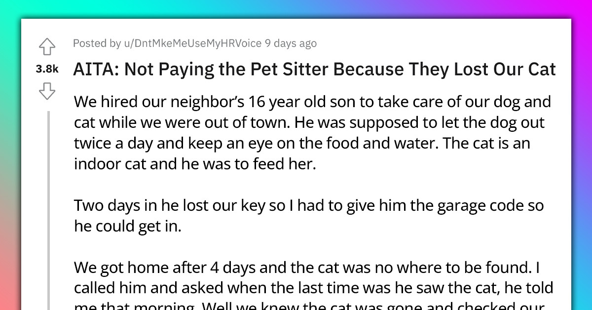 Redditor Decides To Not Pay His Pet Sitter Because He Lost Their Cat