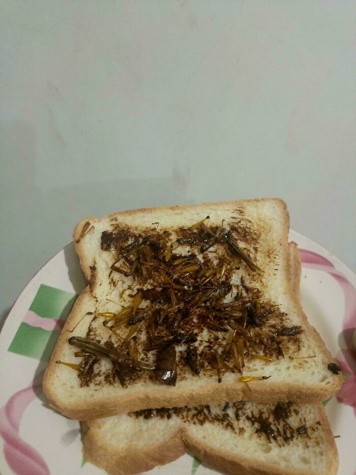 "Grasshoppers In Vegemite Toast"