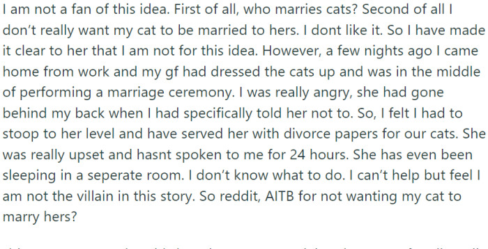 She proposed a 'pet marriage,' a concept OP found absurd and uncomfortable, especially given his dislike for his girlfriend's cat. He 'served' his girlfriend with 'divorce papers' for the cats, an action that deeply upset her.