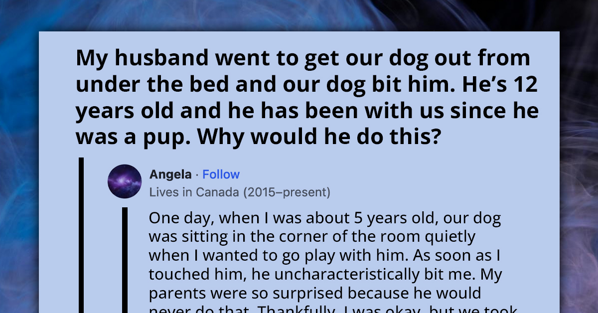 Family Faces Heartbreaking Decision After Loyal Dog Unexpectedly Bites Dad After 12 Years Together