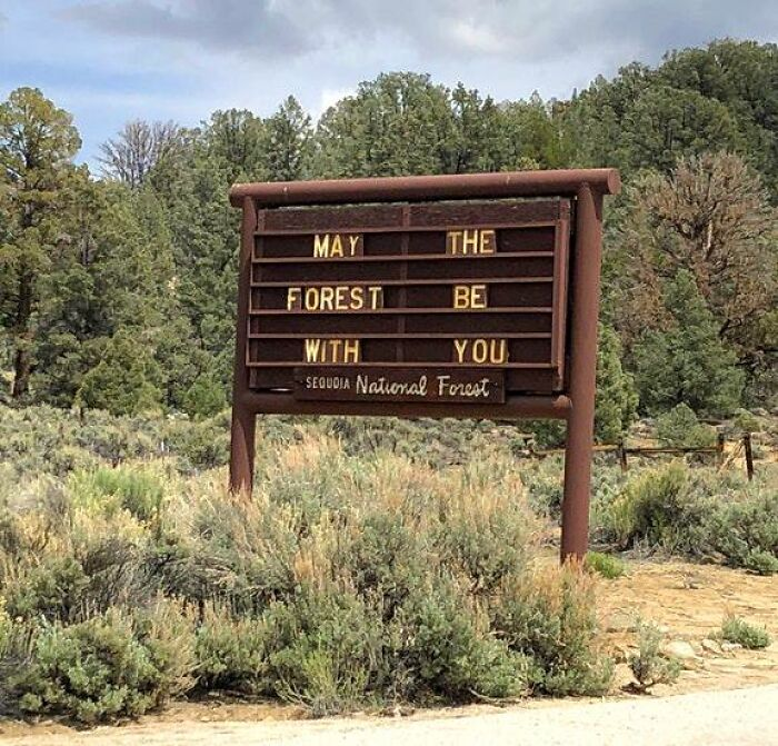 16. And also with you