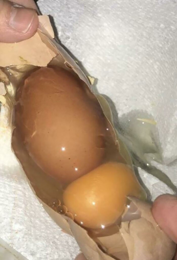 34. One of their chickens has just laid a jumbo egg with another egg inside.