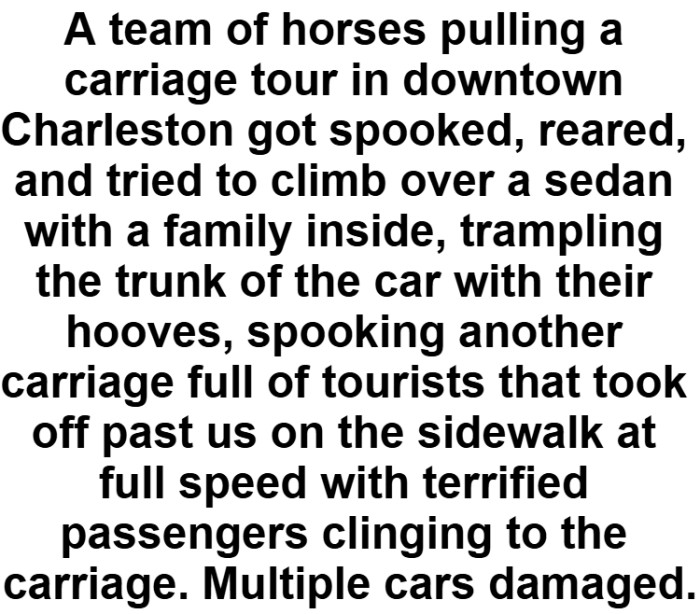 48. Comment by Redditor Jumpy-Pangolin-6377