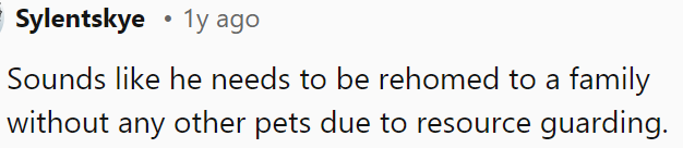 OP can consider rehoming him to a pet-free family due to resource-guarding issues.