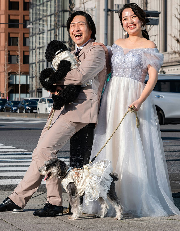 Economic instability is a major barrier to family growth.